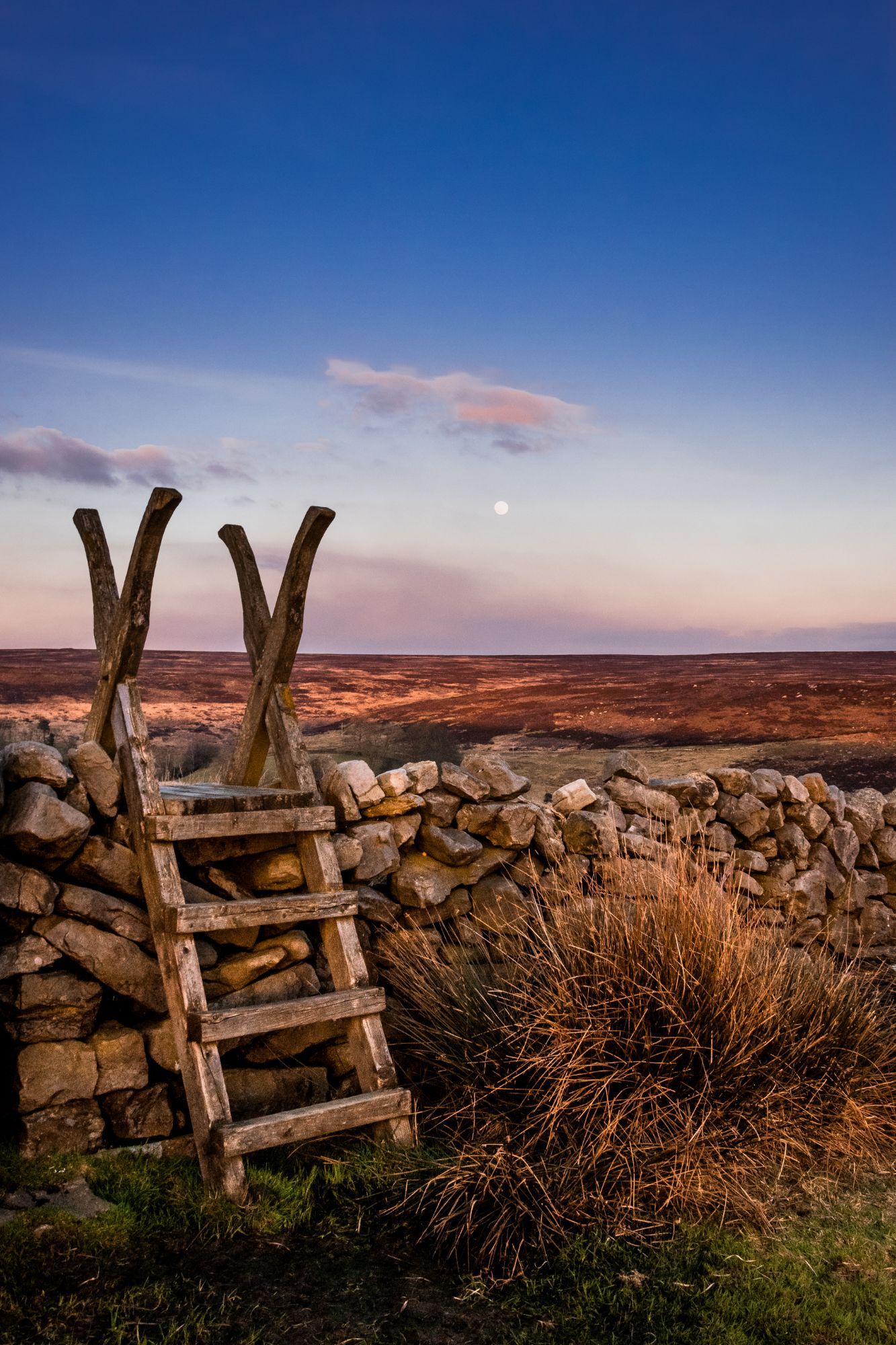 A wooden stile is photographed at the golden hour sunset. The moon is out and everywhere looks golden.