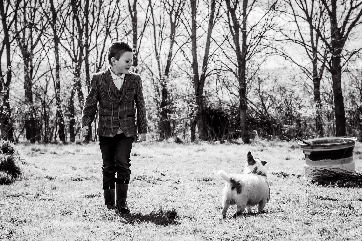 A little boy walks his dog through their garden. The dog is stood facing the wrong way and the little boy is smiling at him