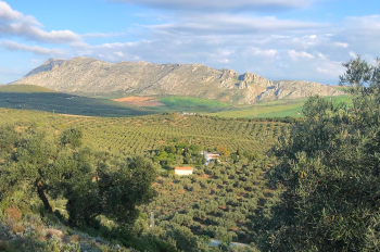 distance shot of isolated dragonfly house and mountain