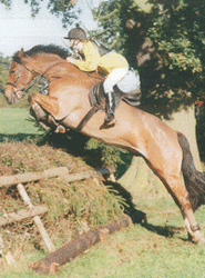 hedge jumping
