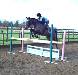 jumping an oxer
