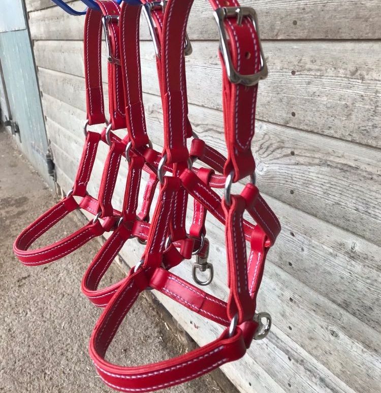 Bridles & Tack