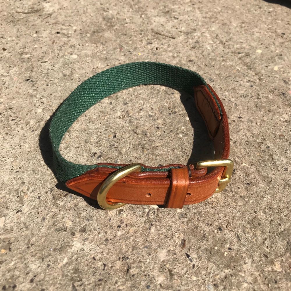 Brown English Bridle Leather Dog Collar Brown Webbing and Polished Brass