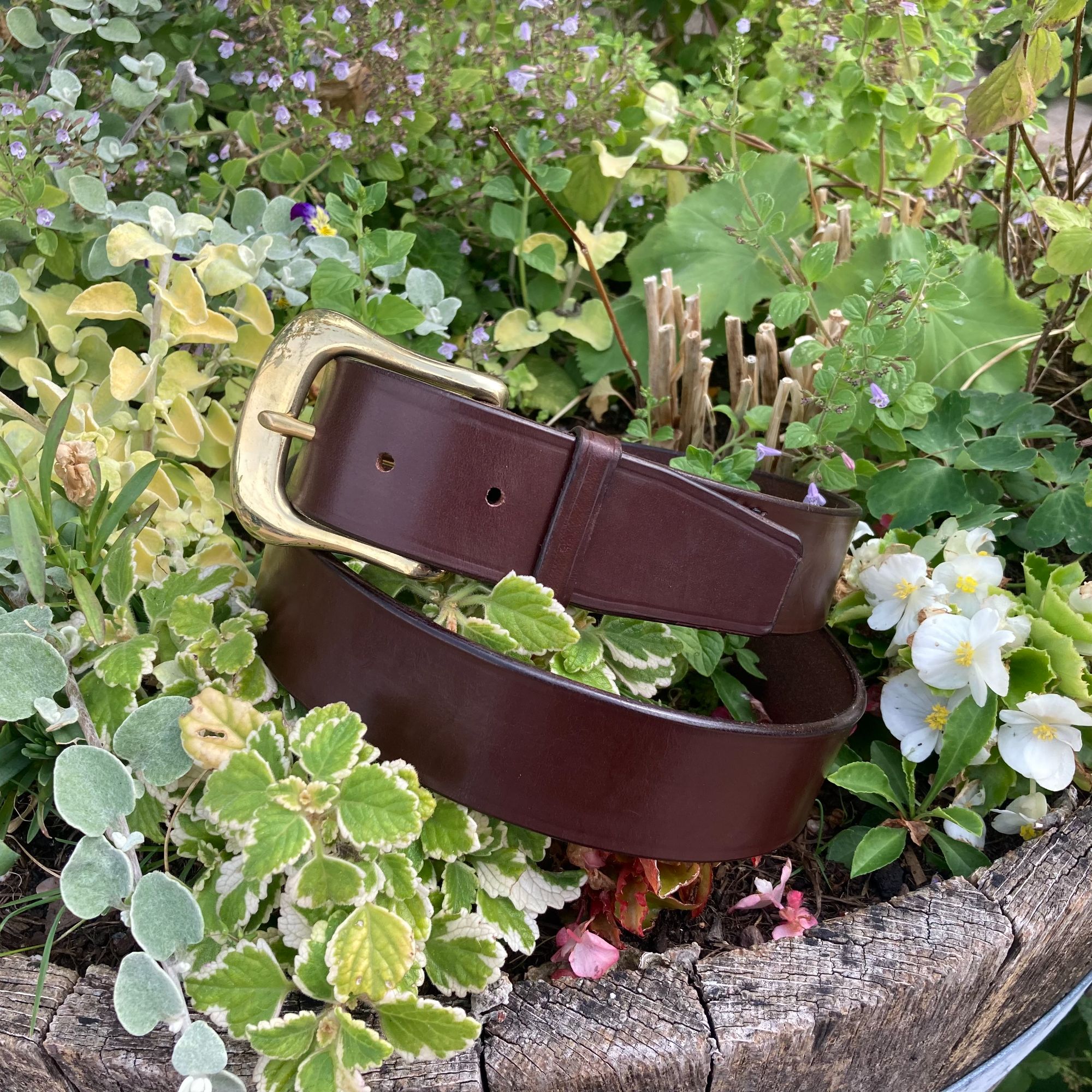 Australian Nut leather with Swelled west end buckle