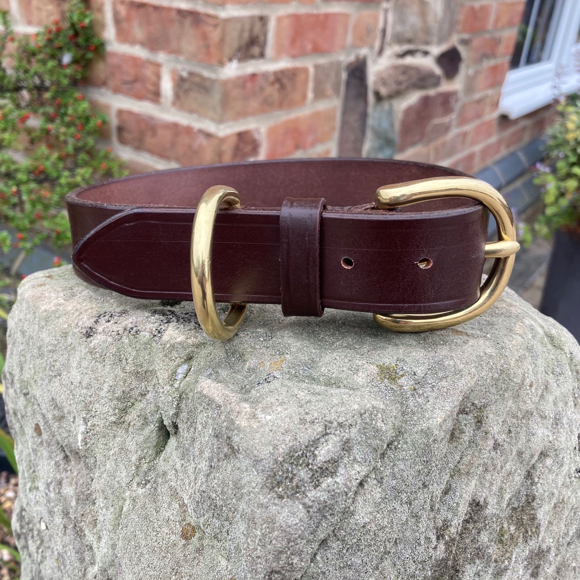 Australian Nut leather with London Dee buckle dog collar
