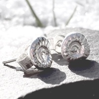 Ammonite Studs 