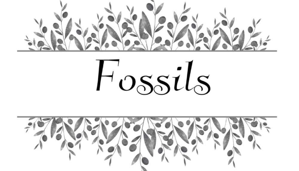 Fossils