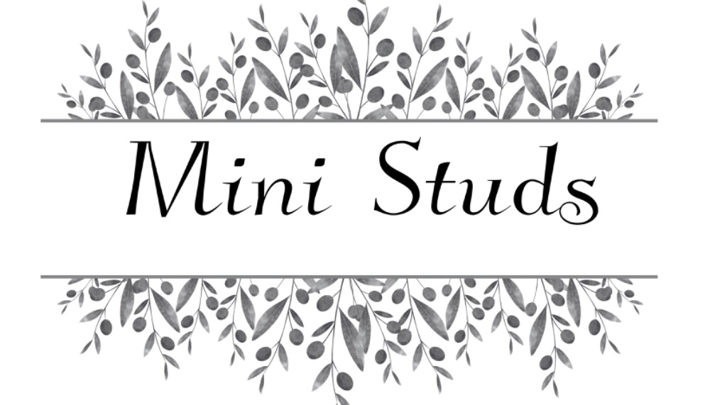 Mini Studs