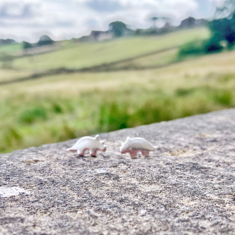 Dinosaur Jewellery: Silver Triceratops Stud Earrings