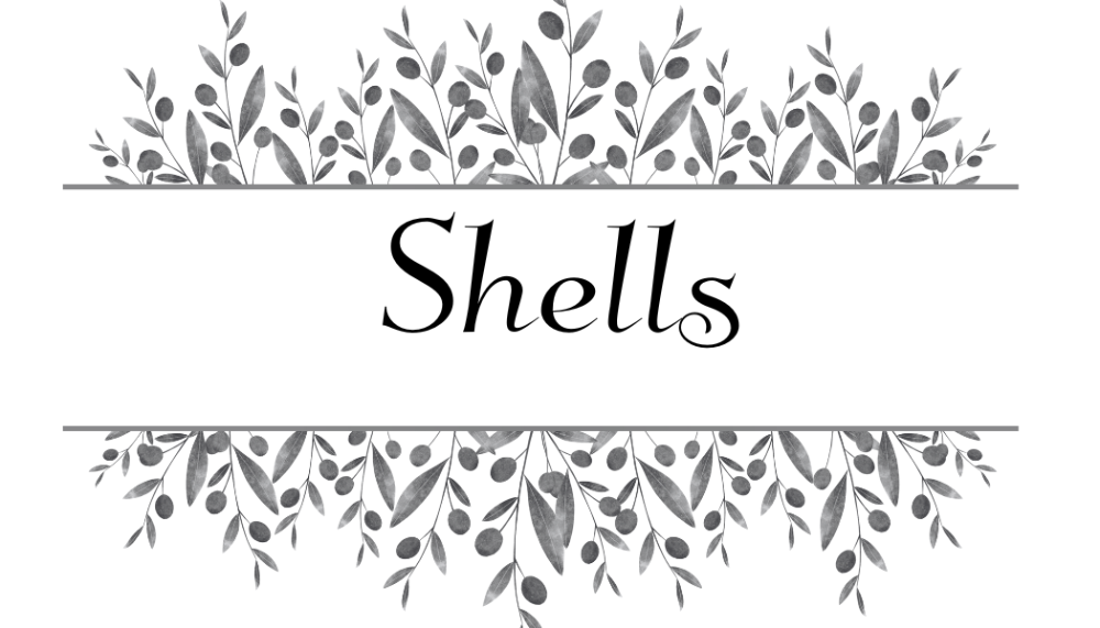Shells