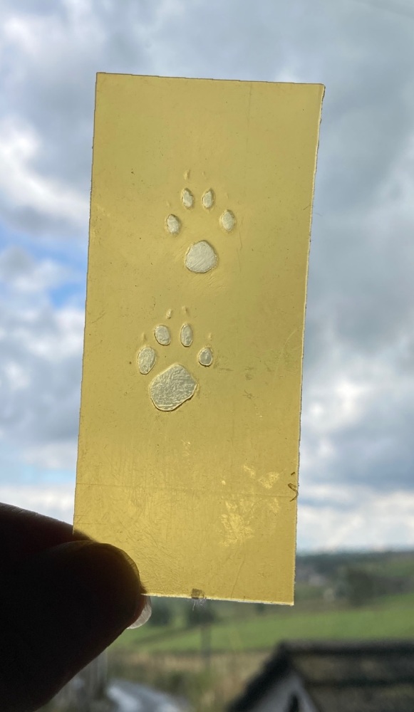 Photopolymer Stamp - for Esther to use to create your bespoke paw print jewellery