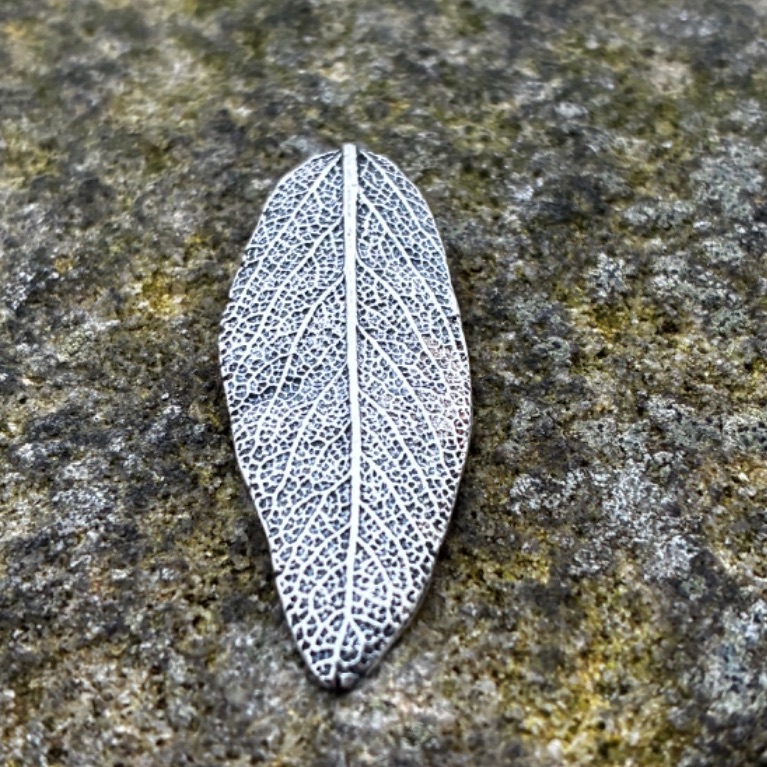 Hallmarked Sage leaf necklace - handmade in silver using a real leaf on sterling silver chain