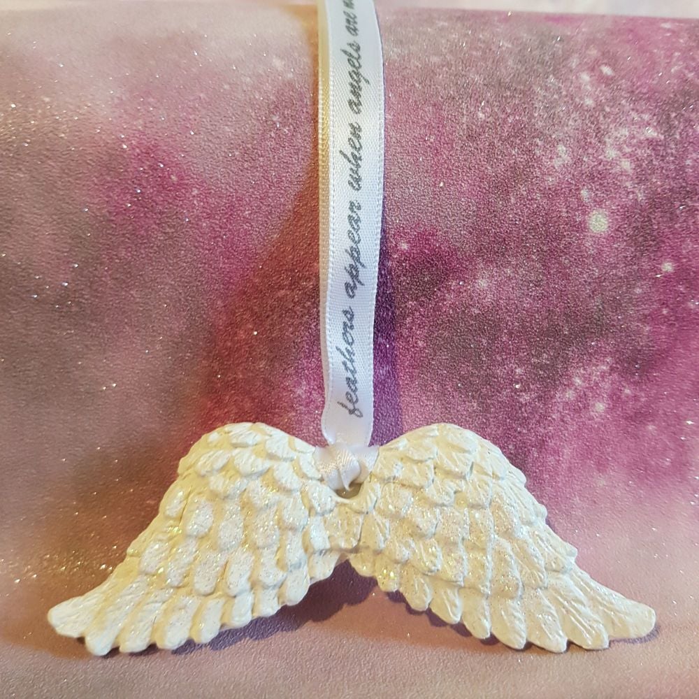 Clay angel wings 