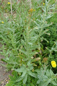 P1140052