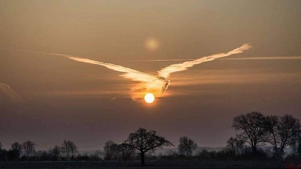 7afb4764-f7eb-44fb-9cc9-1535b1c14488