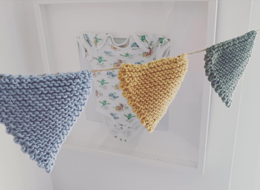 Rainbow Bunting 