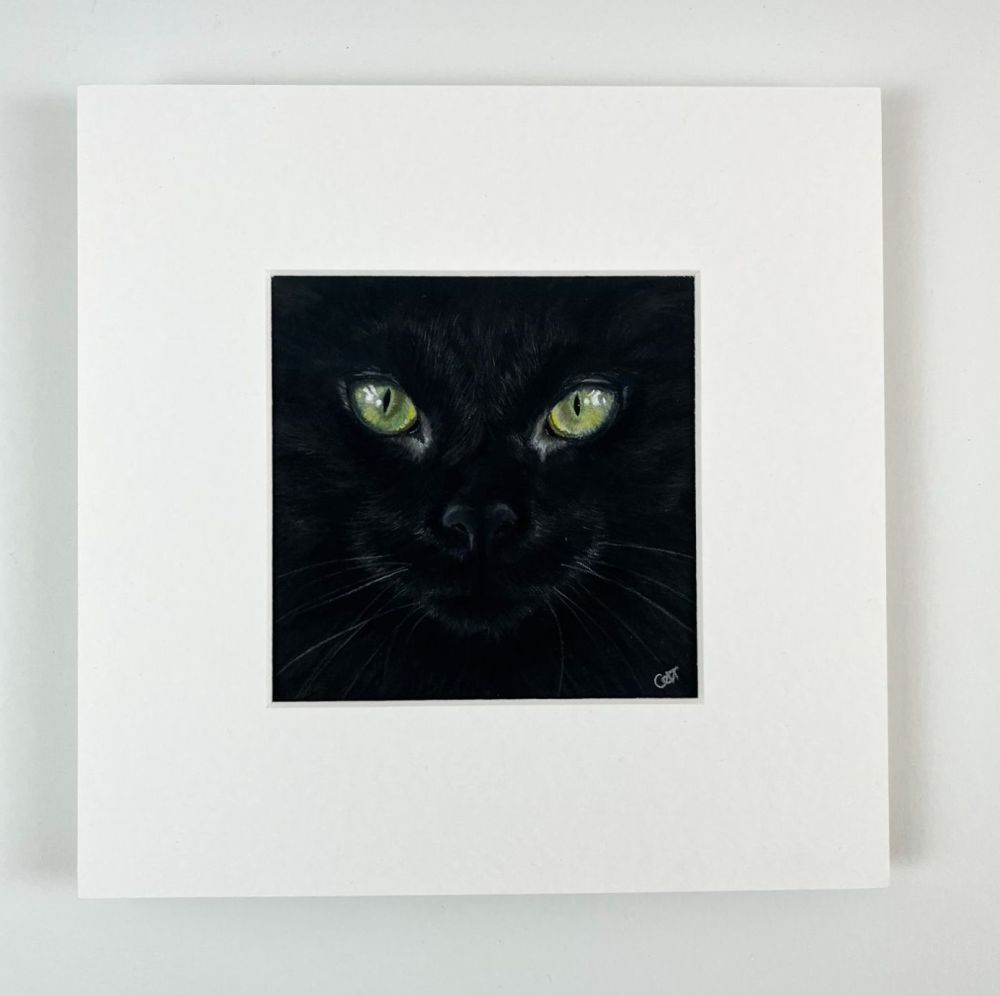 Lucky Black Cat Open Edition Art Print
