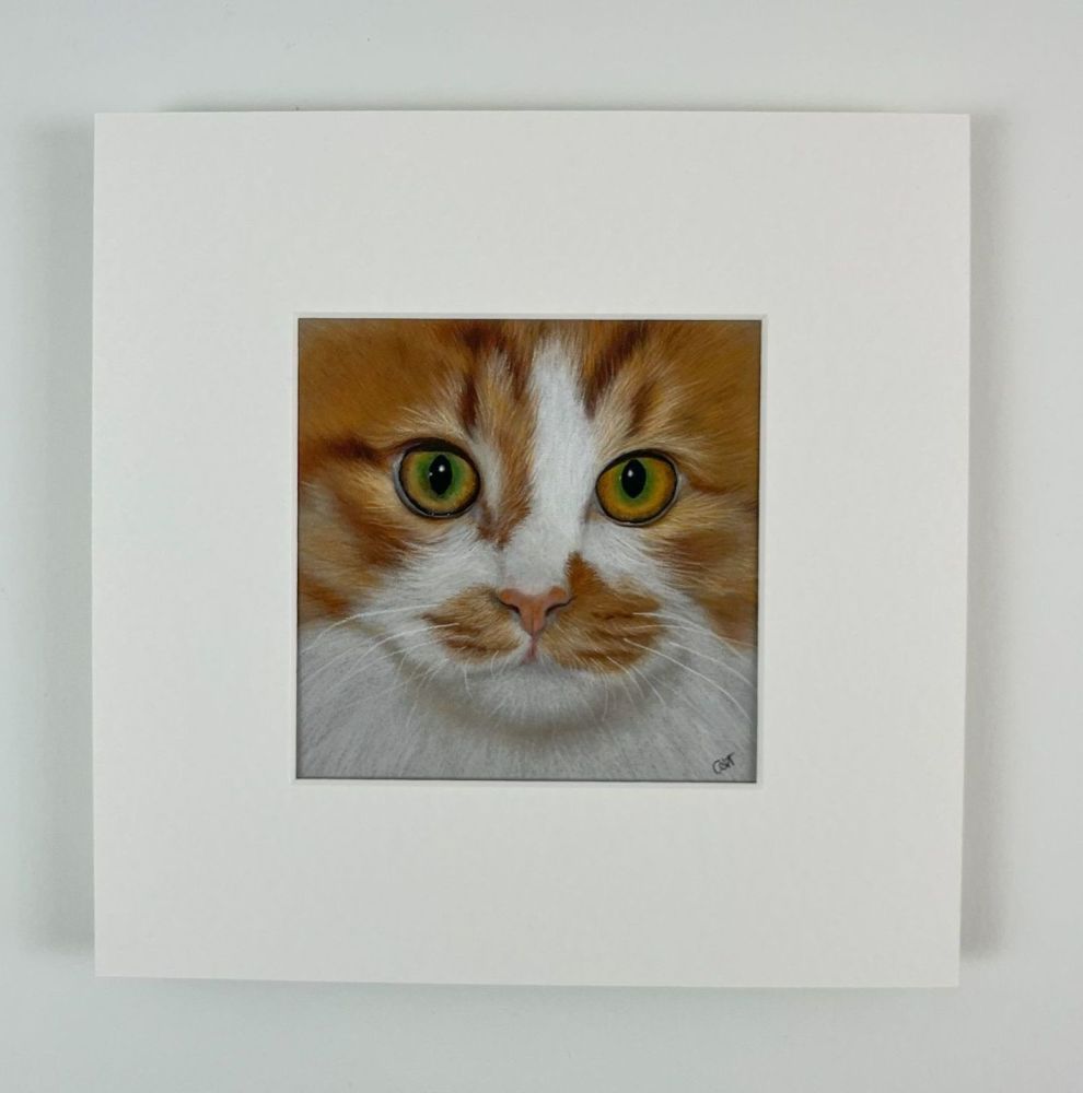 Ginger Cat Open Edition Art Print