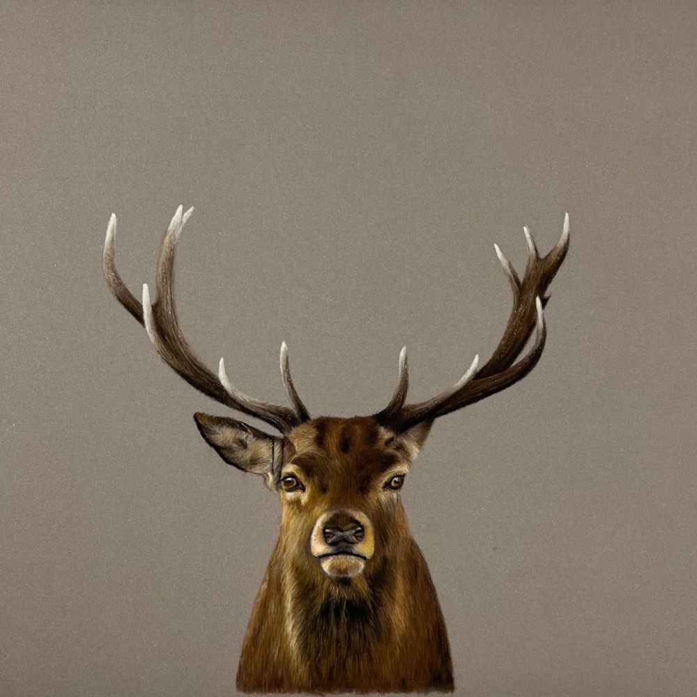 'Majestic Red Stag' Limited Edition Print