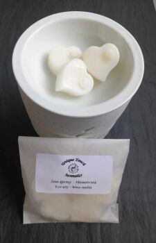 Sea spray - wax melts