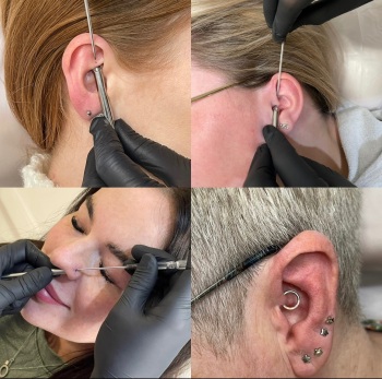 Full Ear, Navel & Nose Online Course