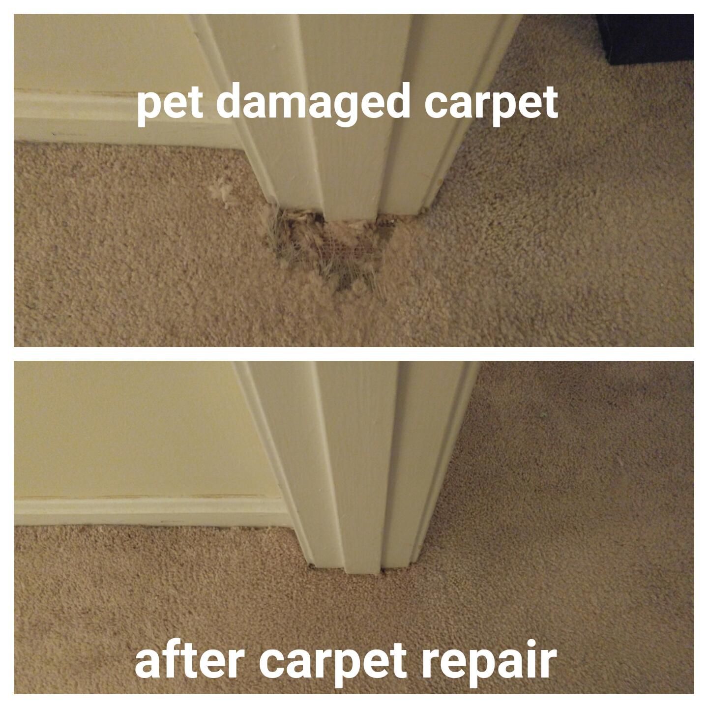 Pet damaged carpet repair in Middlesbrough