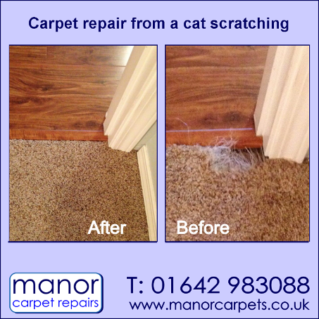 carpet pet repair in North Yorkshire