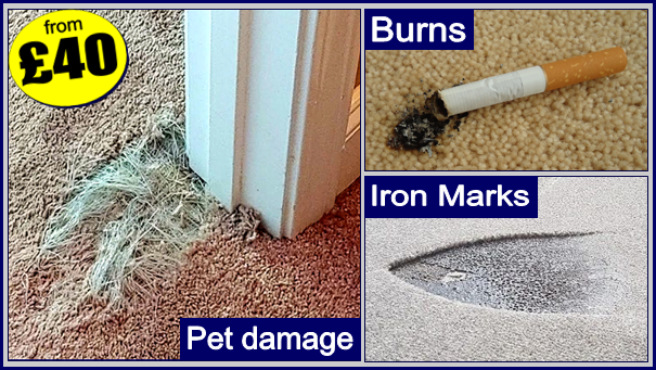 Carpet repairs in Middlesbrough, Carpet repairs in Acklam, Carpet repairs in Linthorpe, Carpet repairs in Marton, Carpet repairs in Nunthorpe, Carpet repairs in Coulby Newham, Carpet repairs in Hemlington, Carpet repairs Eagle Park, Carpet repairs in Great Ayton, Carpet repairs in Stokesley. Carpet rip repairs Middlesbrough, carpet pet repairs Middlesbrough, carpet burn repairs Middlesbrough. Carpet repairs free home visit and quotations.