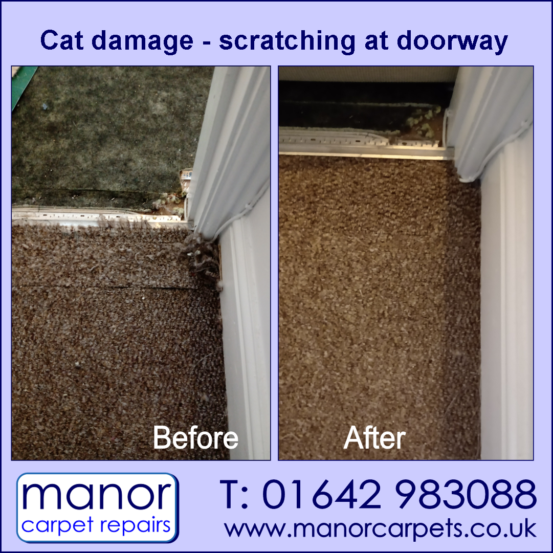 Cat damage to doorway carpet. Pieced and repaired. Manor Carpet Repairs, Darlington