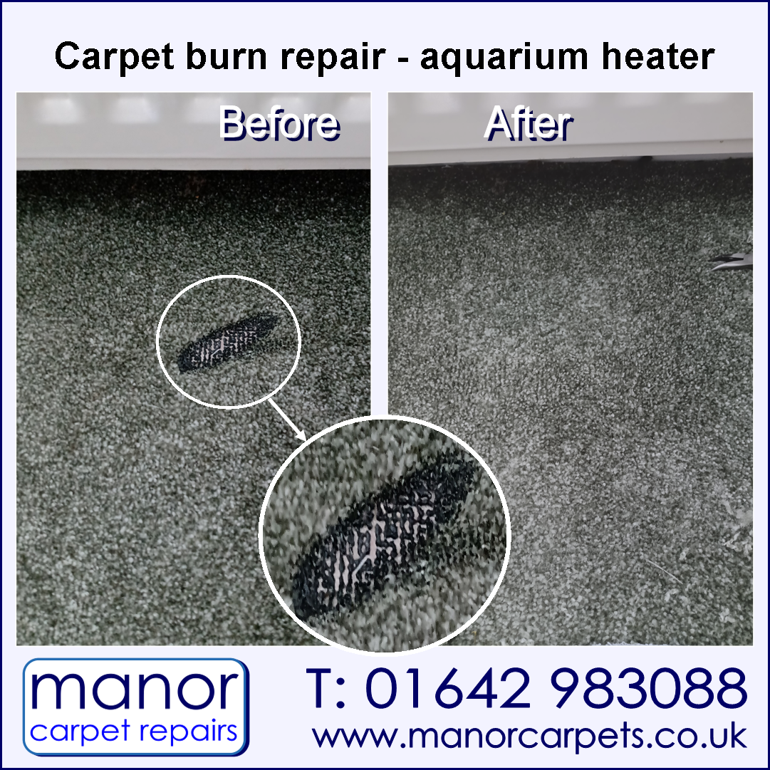 Carpet burn repair from an aquarium heater in Skelton. Manor Carpet Repairs.