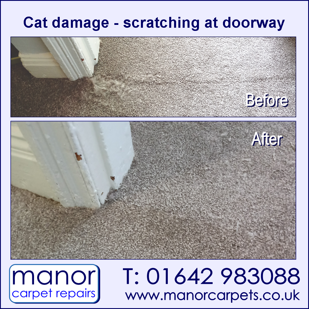 Cat carpet damage scratching at doorway in Middlesbrough. Manor Carpet Repairs.