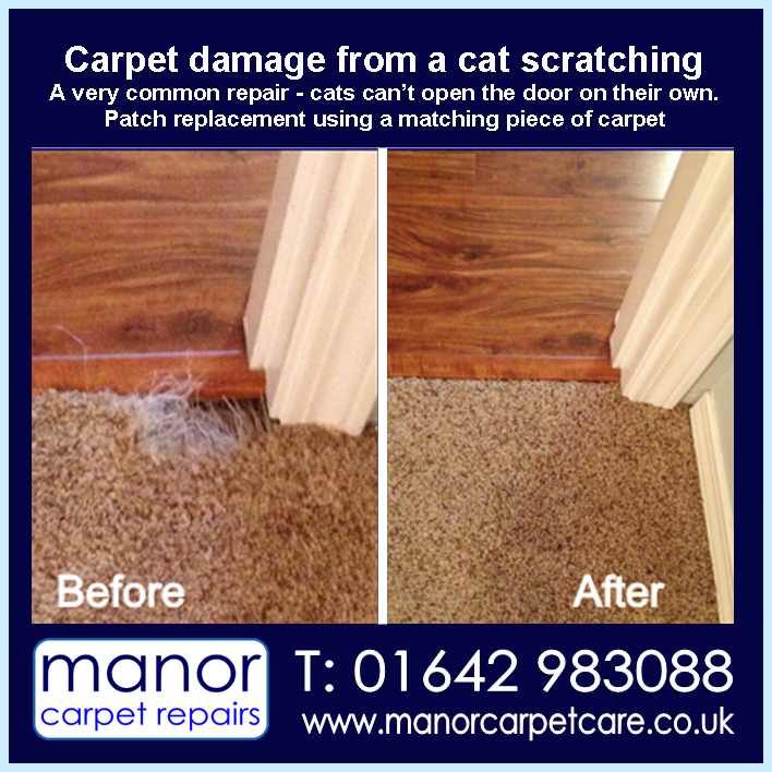 carpet pet repair in Blackwell, Darlington
