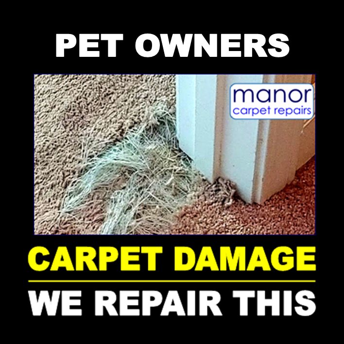 carpet repair from pets. Manor Carpet Repairs, Middlesbrough, Stockton on Tees, Redcar, Hartlepool, Darlington, Guisborough