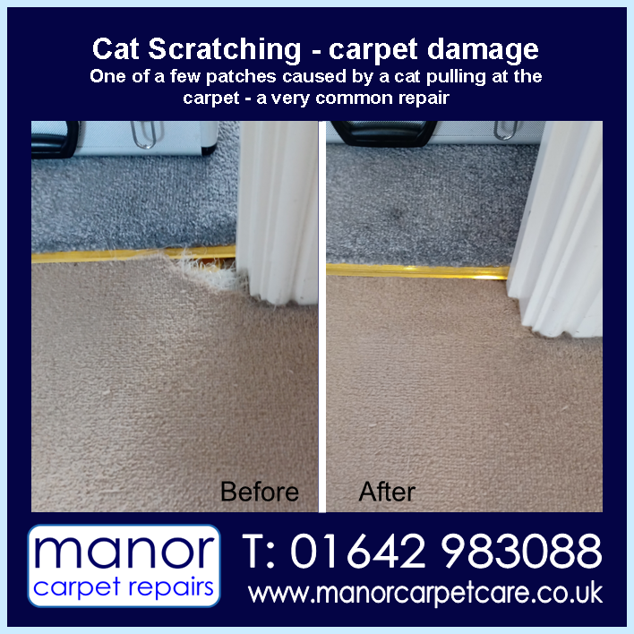 Carpet damage caused by a cat scratching at the doorway. One of a few repairs at the same property. Cat carpet damage repair in Darlington
