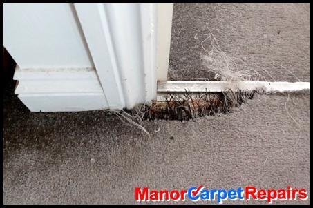 Pet damage and urine carpet stains. Manor Carpet Care can repair this.