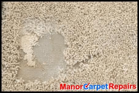 Moth and insect carpet damage. Manor Carpet Care can repair this.