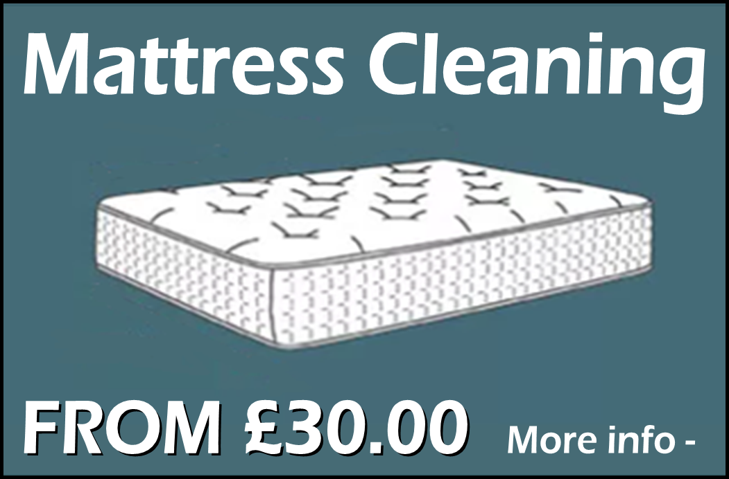 Mattress Cleaning. More information here