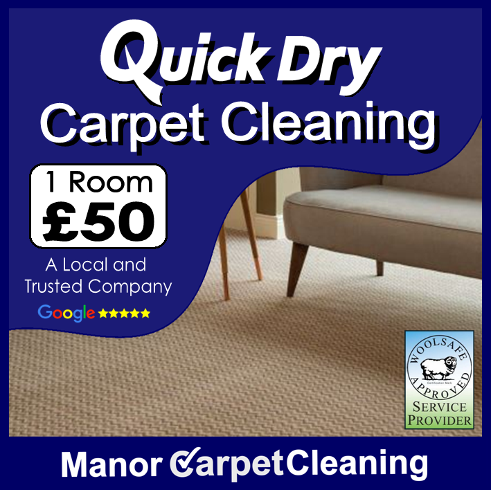 1 room quick dry low moisture carpet cleaning