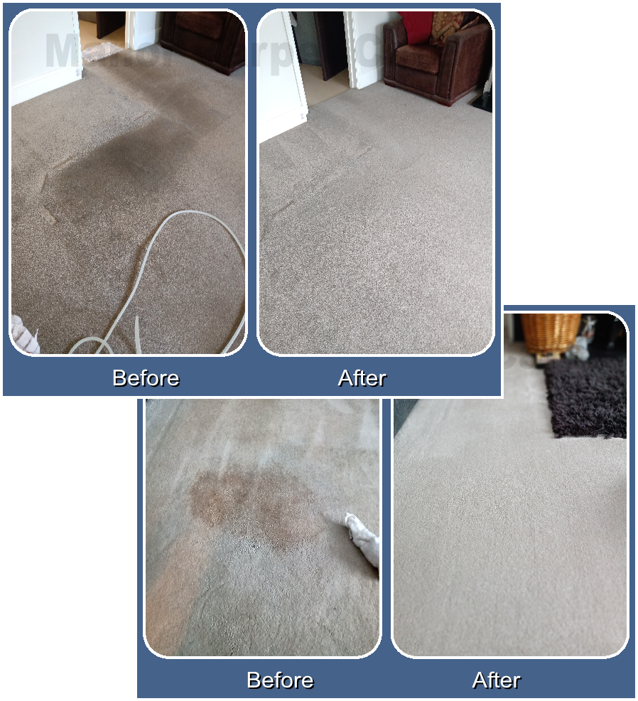 T 01642 983088 Carpet Cleaning and Floor Repairs