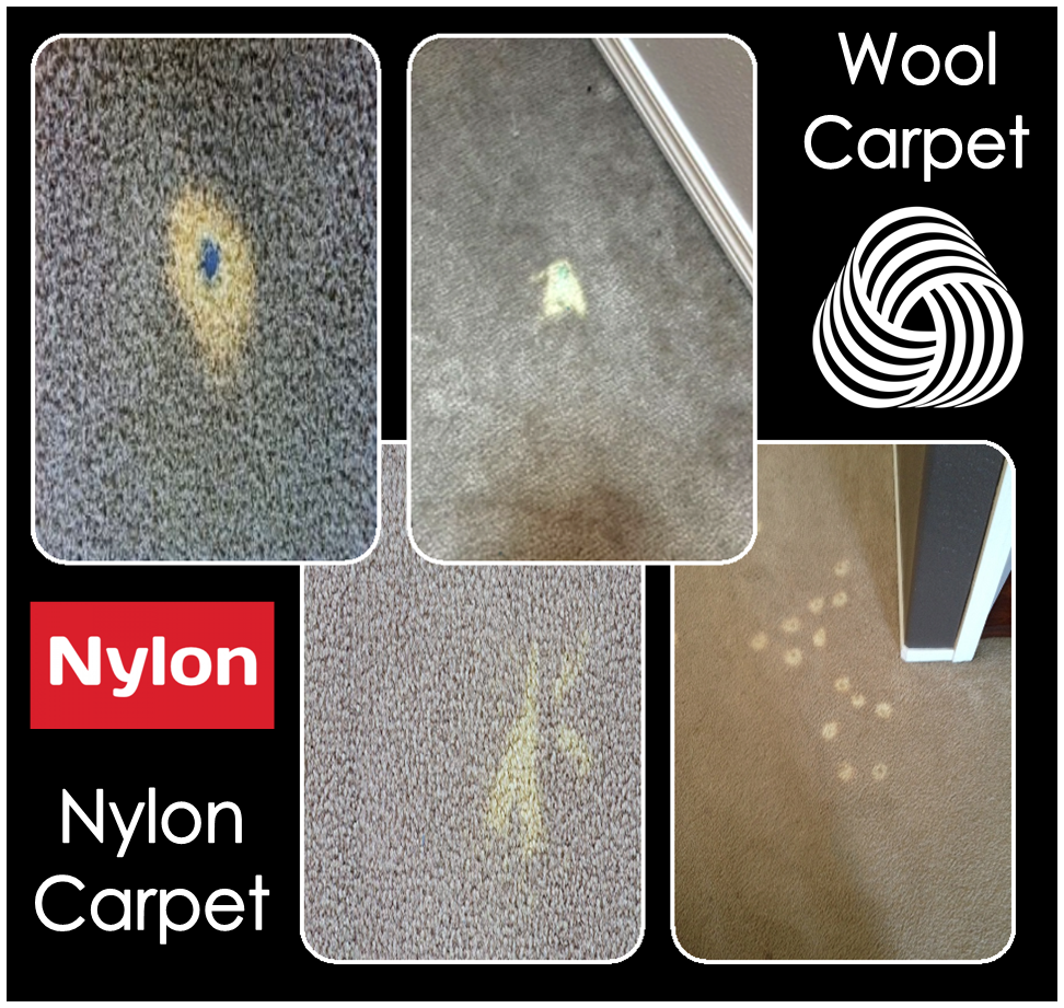 Wool and Nylon carpet bleach spot redyeing 