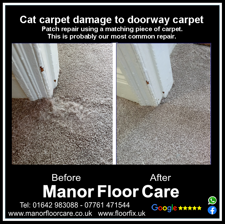 Cat carpet damage repaired in Stockton on Tees. Manor Carpet Repairs
