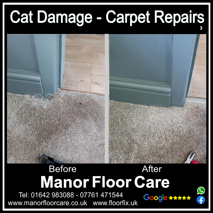 Cat damage carpet repair in Great Ayton
