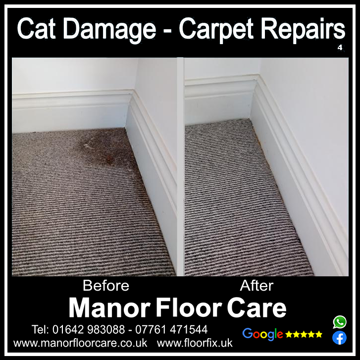 Cat damage carpet repair in  Nunthorpe, Middlesbrough