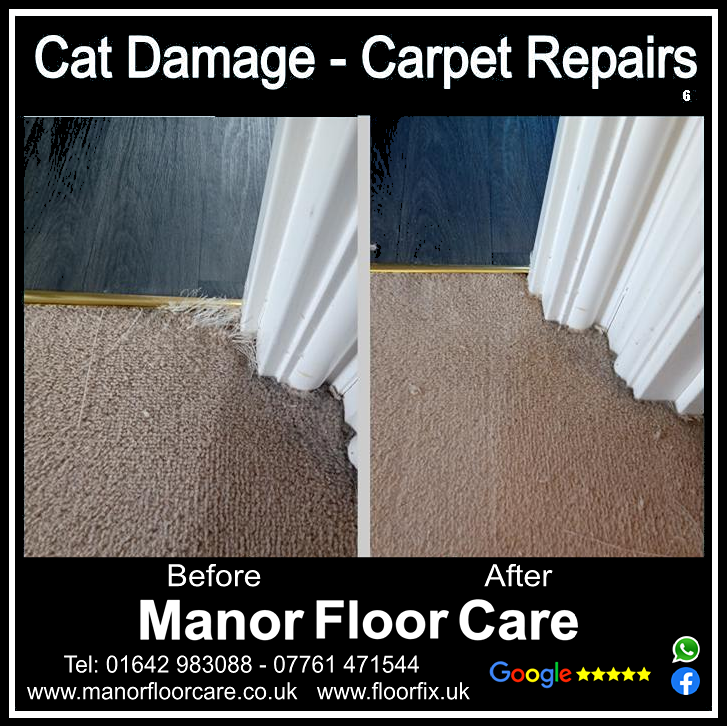 Cat damage carpet repair in  Darlington