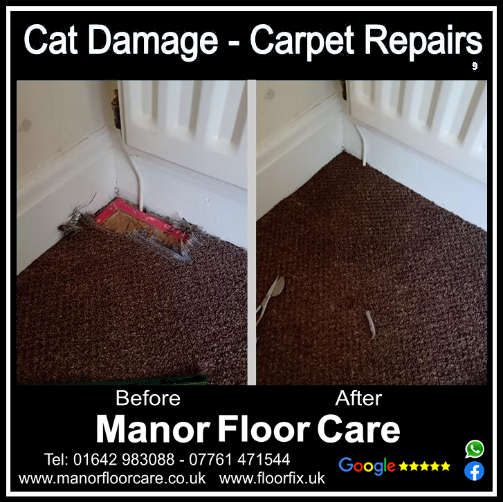 Cat damaged carpet repair in Chilton, County Durham