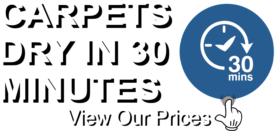 Manor Floor Care Carpet Cleaning
