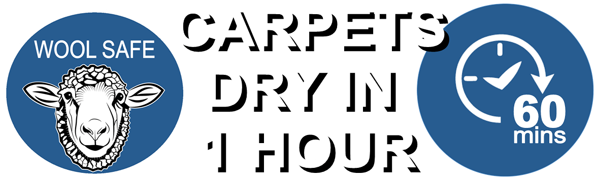 Manor Floor Care Carpet Cleaning