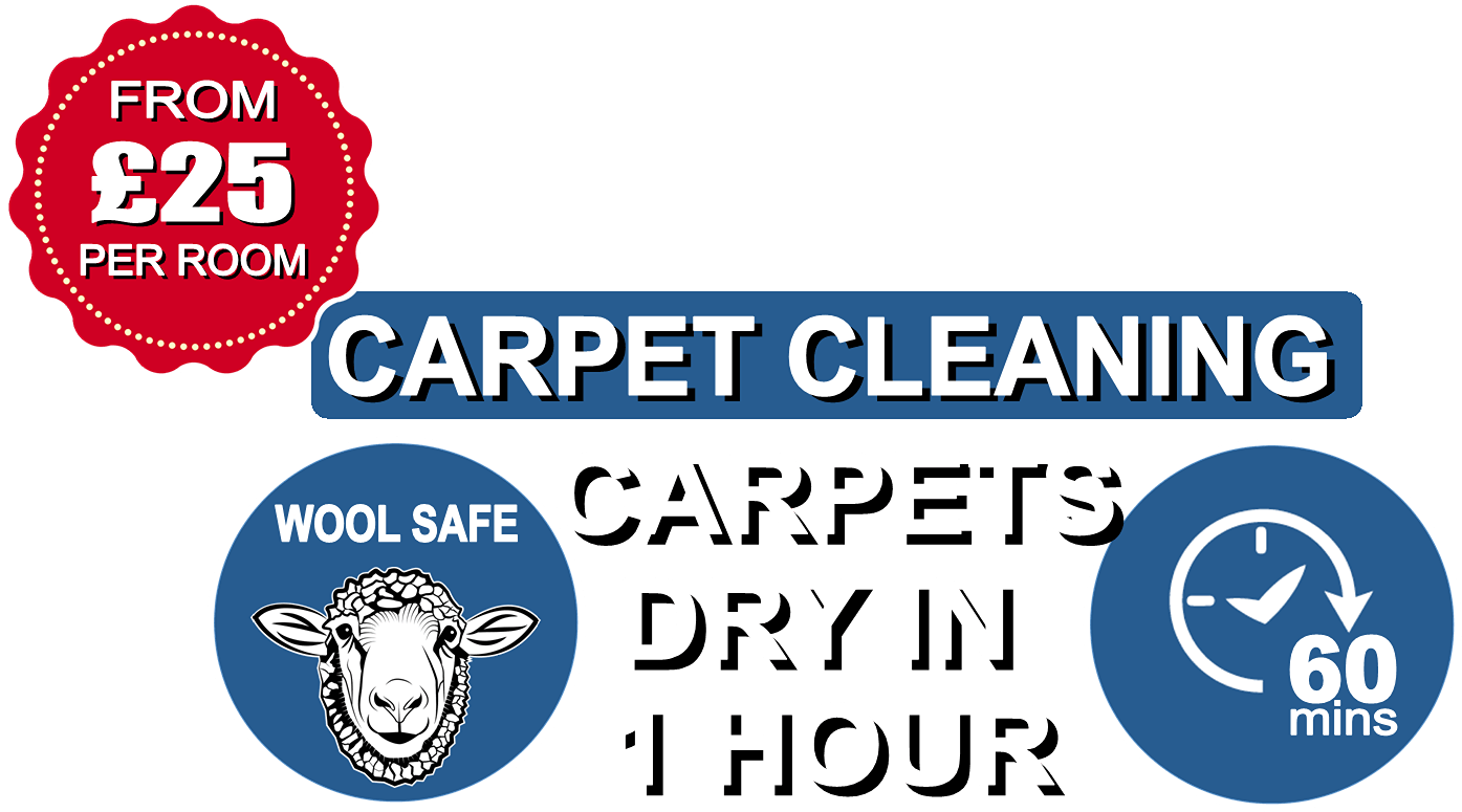 Manor Floor Care Carpet Cleaning
