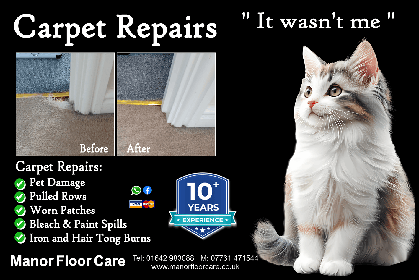 Pet damage carpet repairs across the North East
