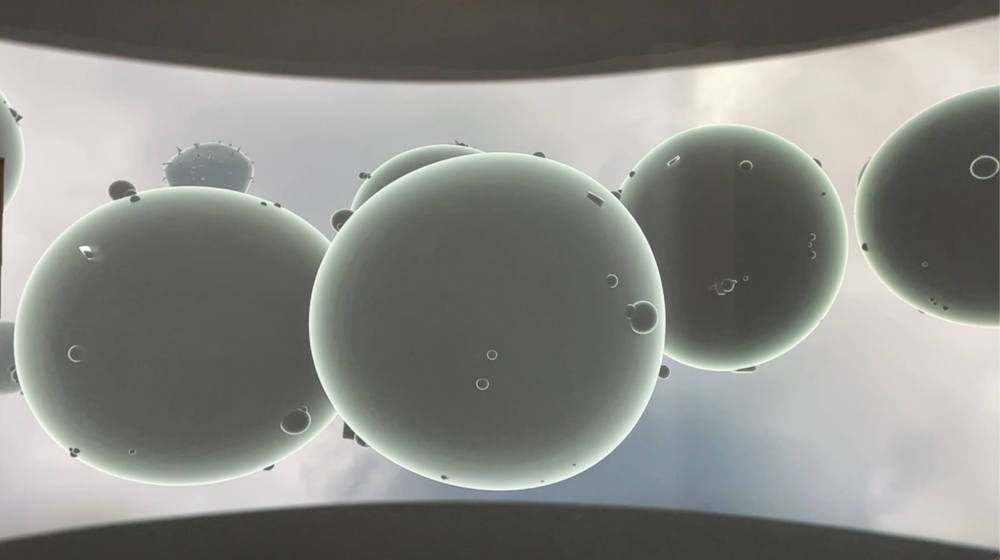 Wellcome screenshot video
